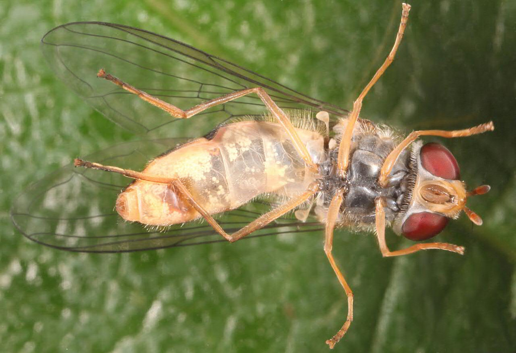 https://farm9.staticflickr.com/8441/7948186660_499138dc9b_b.jpg