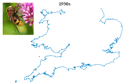 http://www.dipteristsforum.org.uk/img/v_zon_dist.gif